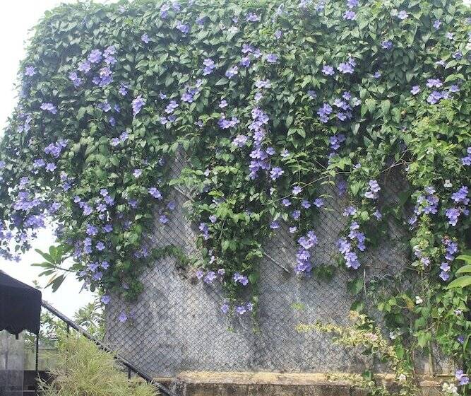 پانسیون Villa Escondite