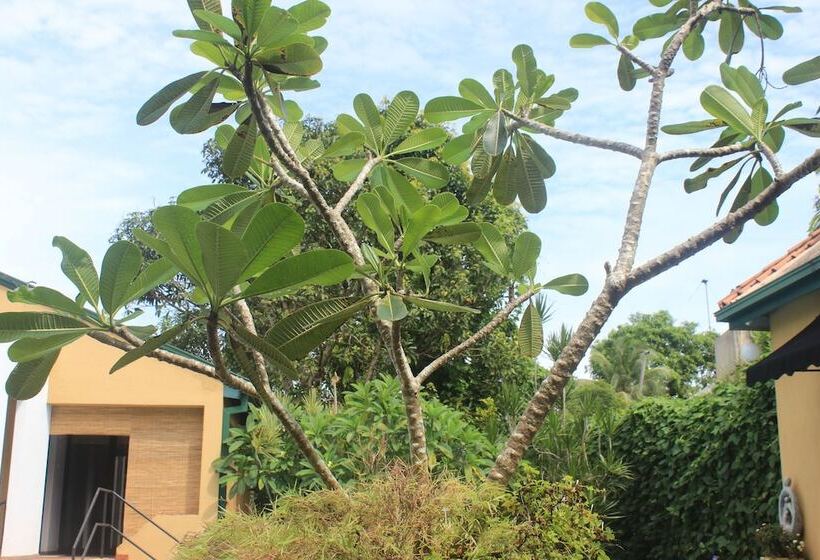 پانسیون Villa Escondite