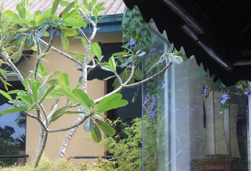 پانسیون Villa Escondite