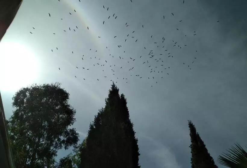 ペンション Villa Le Clos Fleuri