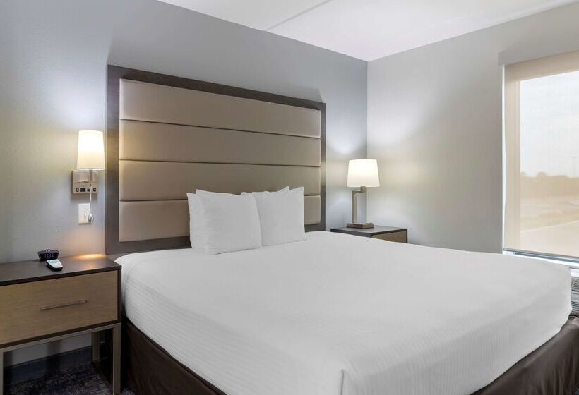 ホテル Best Western Plus Mcallen Airport