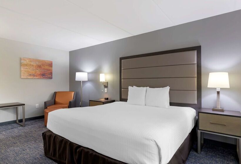 ホテル Best Western Plus Mcallen Airport