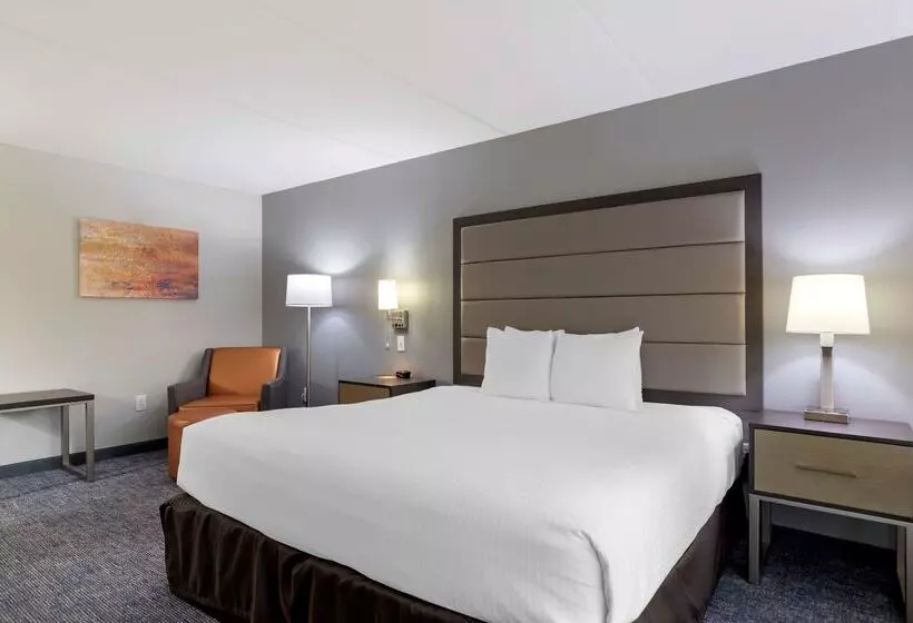 酒店 Best Western Plus Mcallen Airport