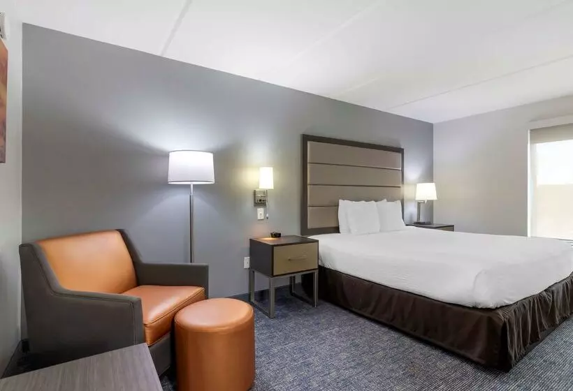酒店 Best Western Plus Mcallen Airport