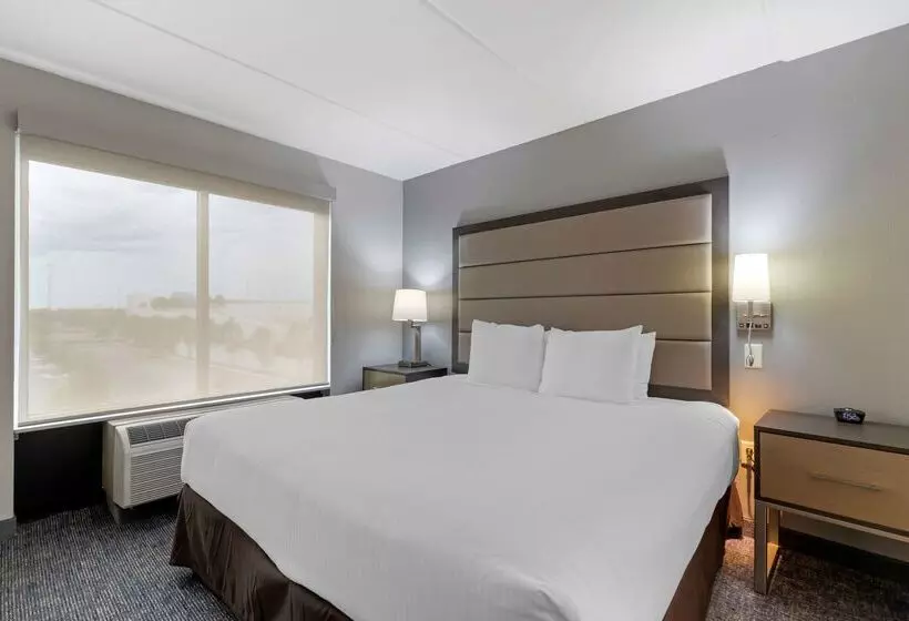 酒店 Best Western Plus Mcallen Airport