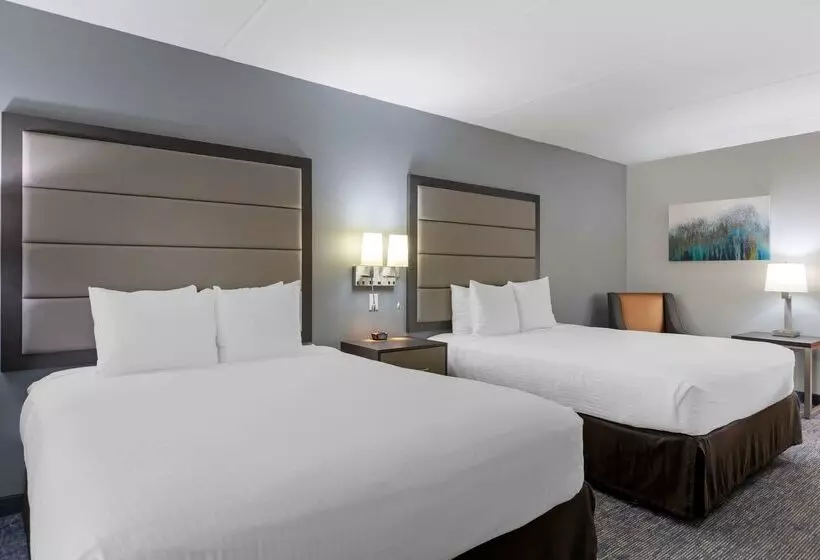 酒店 Best Western Plus Mcallen Airport