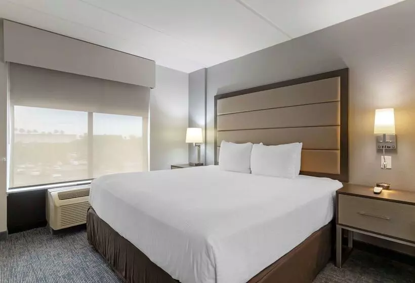 酒店 Best Western Plus Mcallen Airport