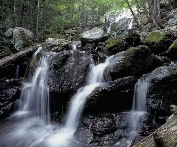 ホテル Big Meadows Lodge