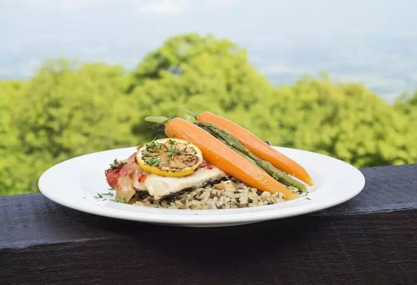 ホテル Big Meadows Lodge