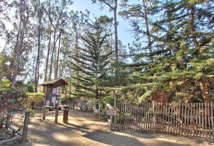 هتل Butterfly Grove Inn