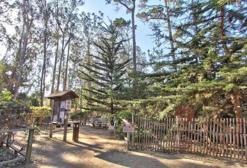 فندق Butterfly Grove Inn