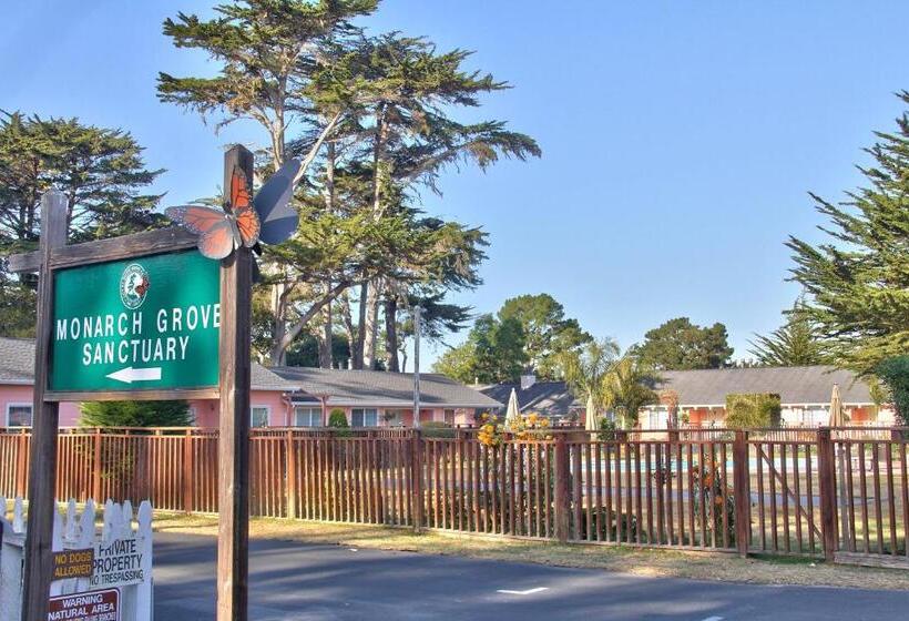 هتل Butterfly Grove Inn