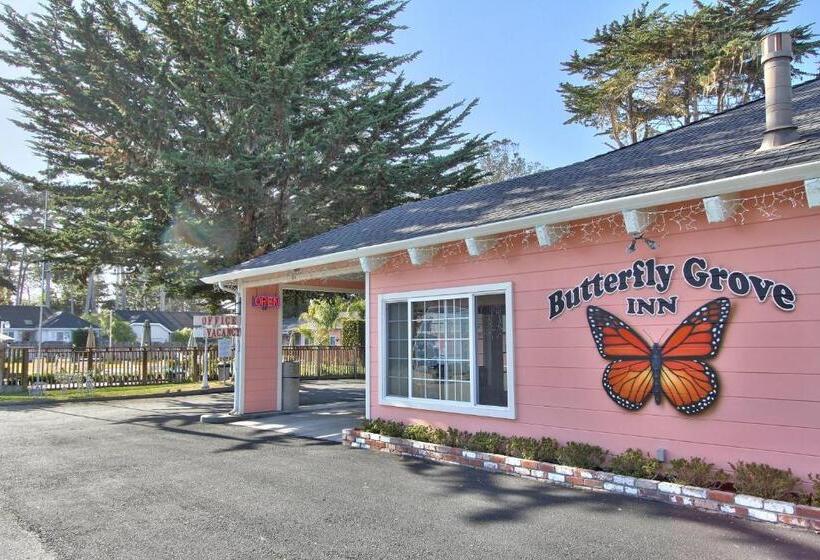 هتل Butterfly Grove Inn