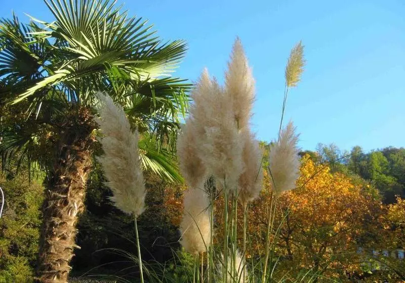 Szálloda Garni Gardenia