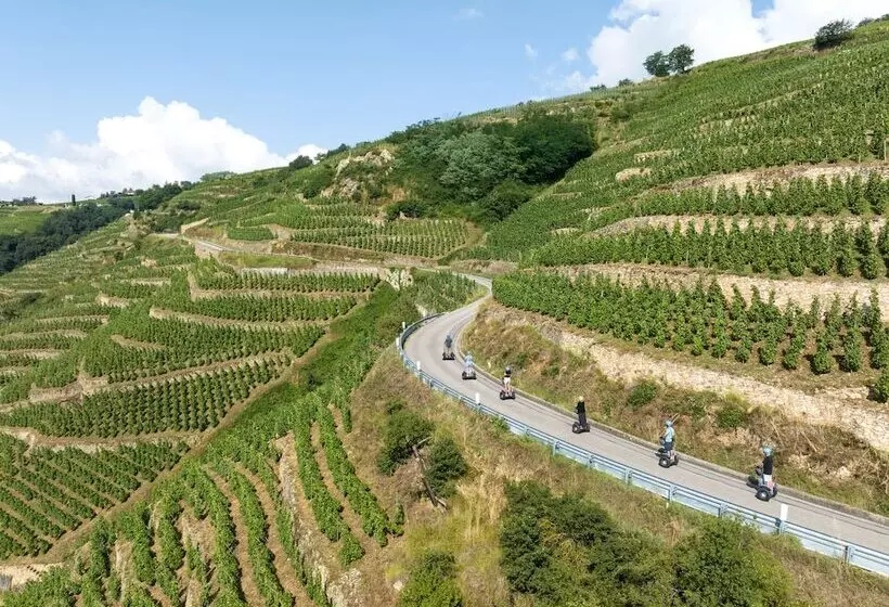 호텔 La Pyramide  Maison Henriroux