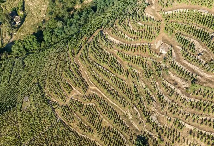 호텔 La Pyramide  Maison Henriroux