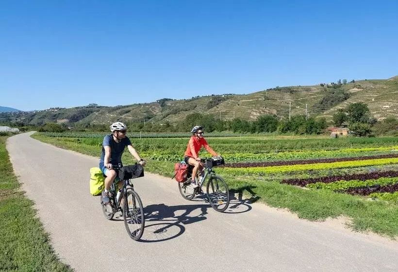 호텔 La Pyramide  Maison Henriroux