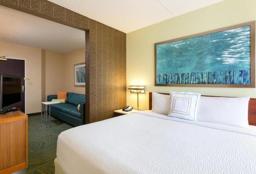 هتل Springhill Suites Austin South
