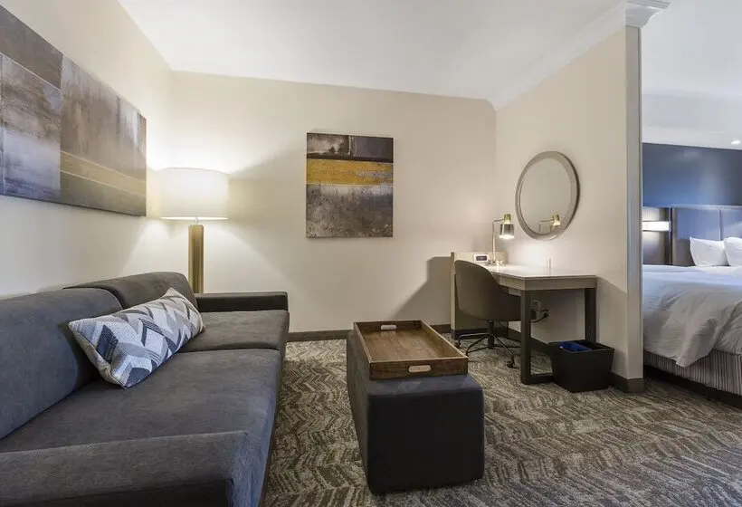 هتل Springhill Suites By Marriott Sacramento Natomas