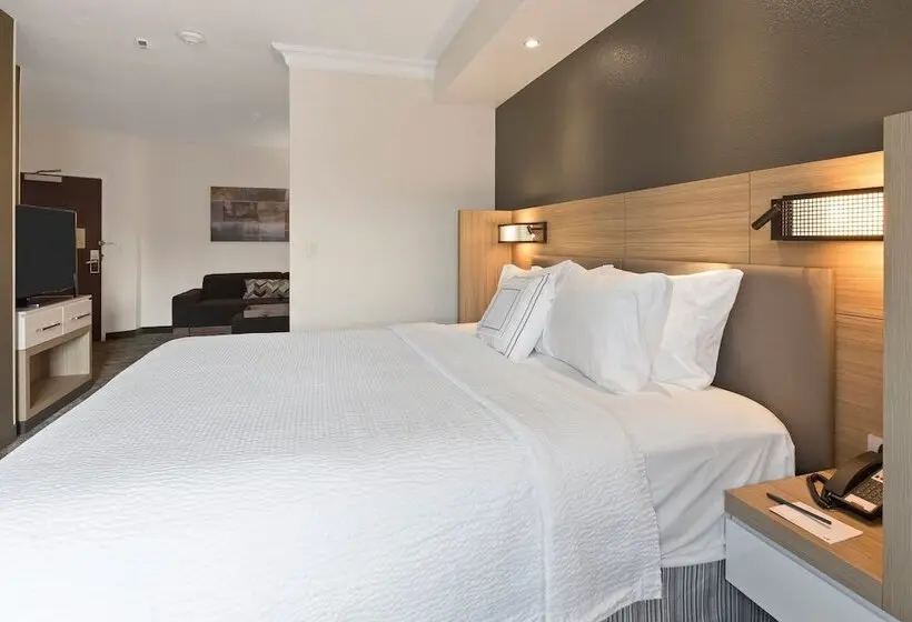هتل Springhill Suites By Marriott Sacramento Natomas