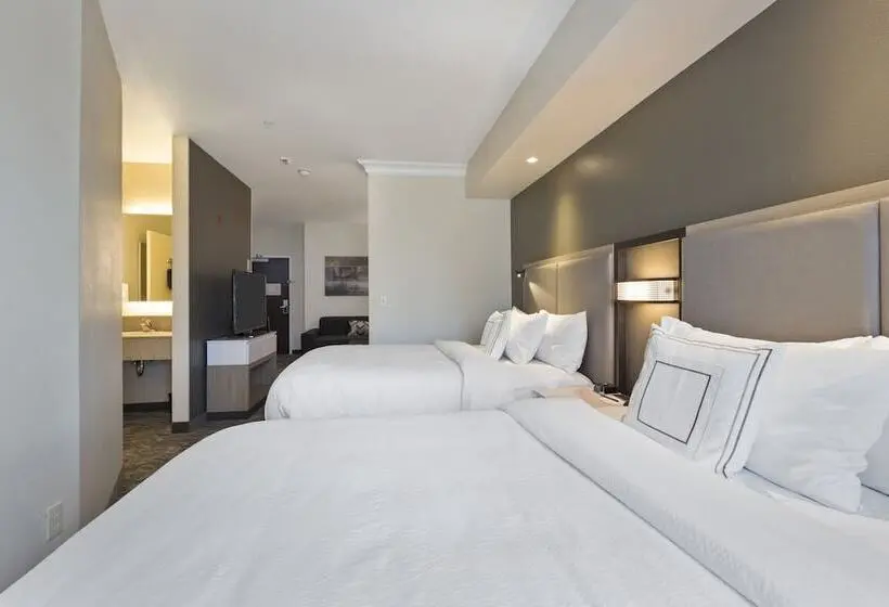 هتل Springhill Suites By Marriott Sacramento Natomas