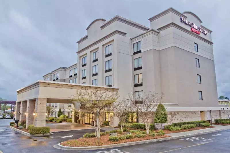 فندق Springhill Suites By Marriott Charlotte Airport
