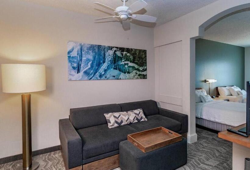 Otel Springhill Suites By Marriott Fairbanks