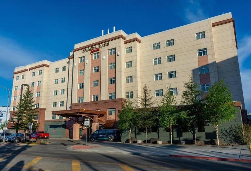 Otel Springhill Suites By Marriott Fairbanks