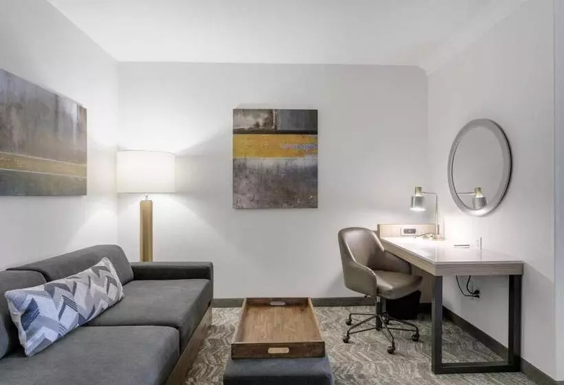 Отель Springhill Suites By Marriott Sacramento Natomas