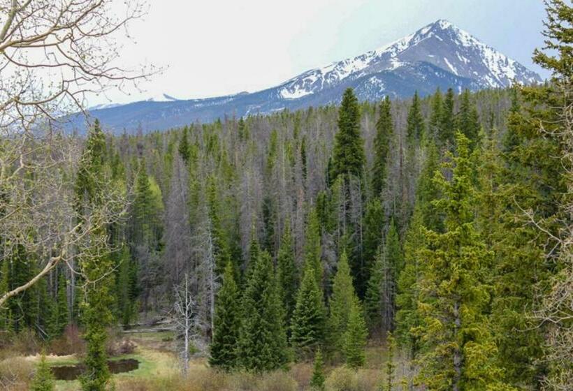 هتل Tenderfoot Lodge 2621