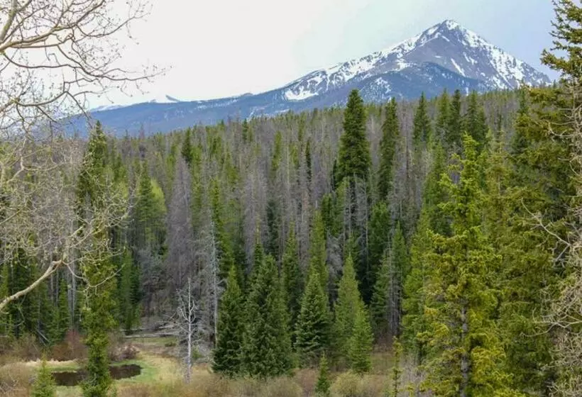 호텔 Tenderfoot Lodge 2621