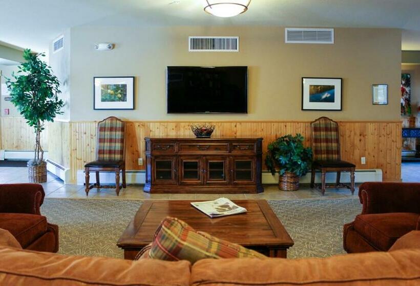 هتل Tenderfoot Lodge 2621