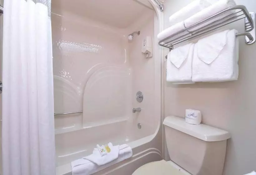 مُتل Ramada By Wyndham Branson