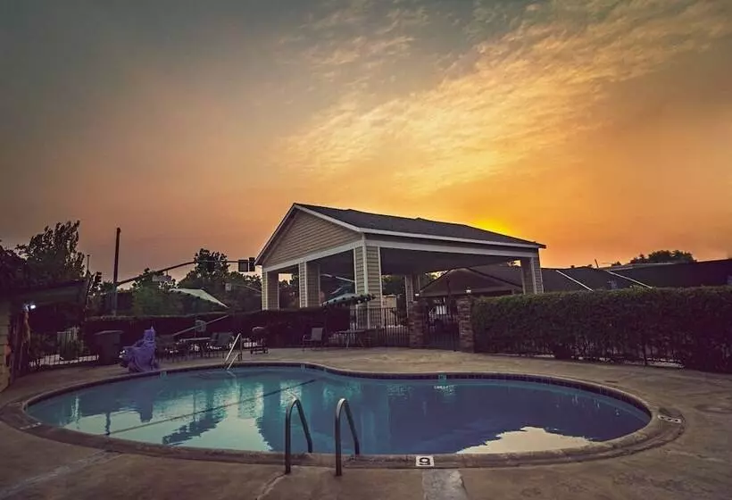 モーテル Safari Inn  Chico