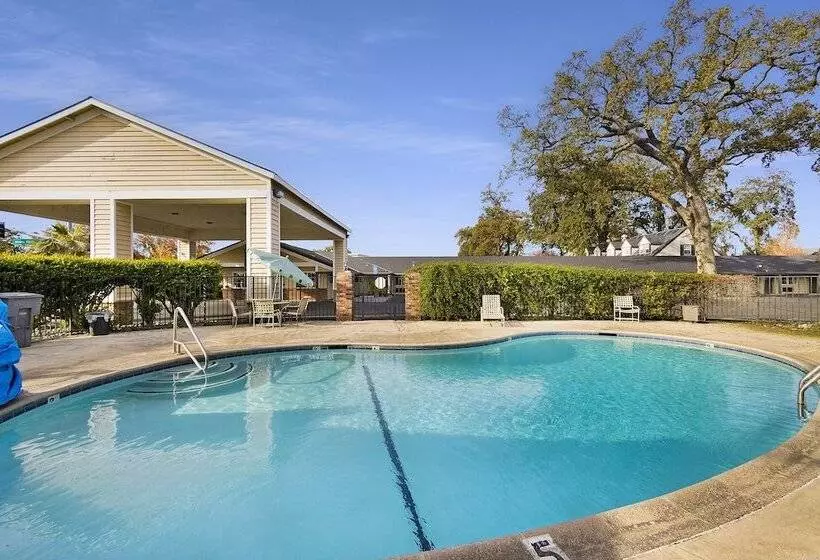 モーテル Safari Inn  Chico