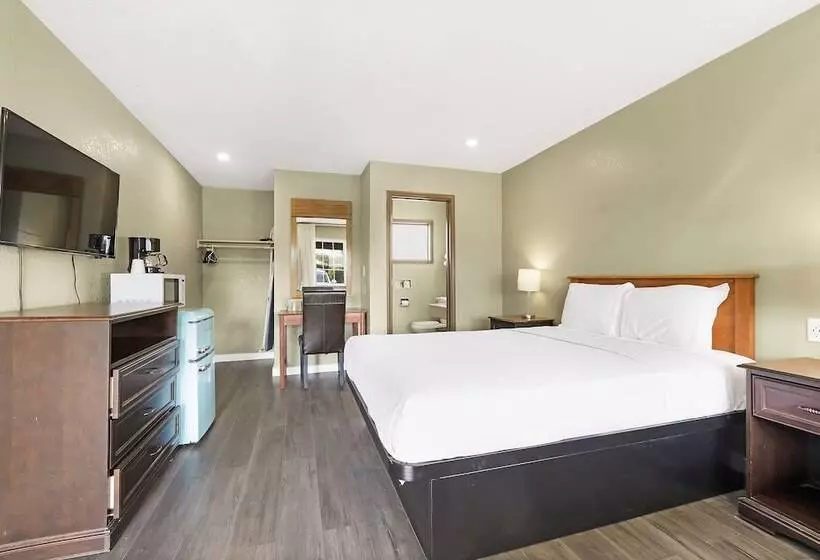 モーテル Safari Inn  Chico