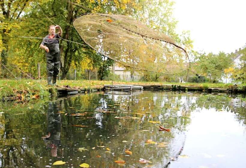 Albergue Gasthof Schloßbräu Lintach