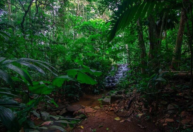 민박 Santuario De Ranas Valle Azul
