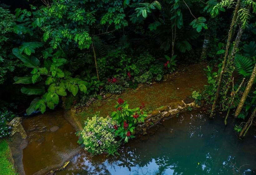 민박 Santuario De Ranas Valle Azul
