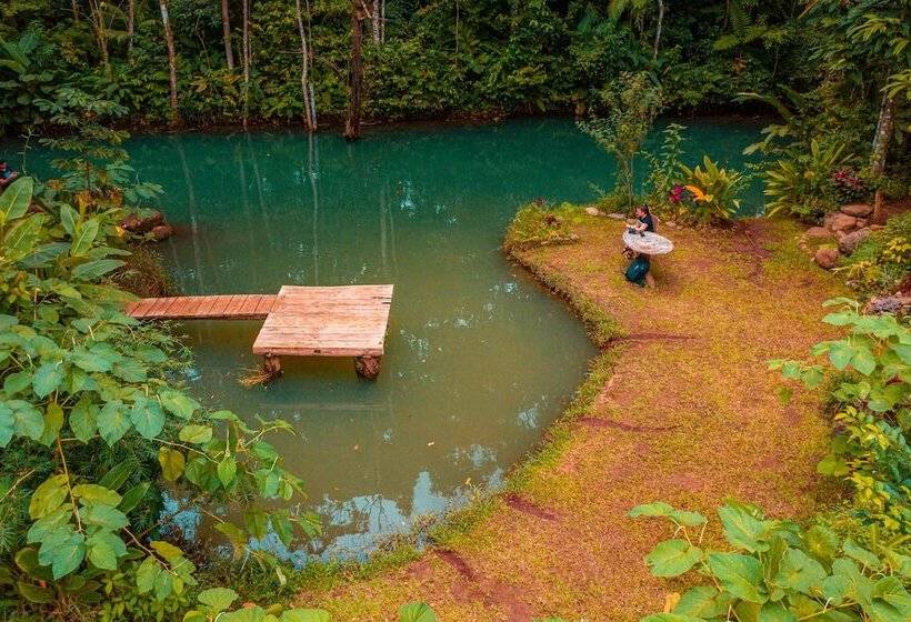 민박 Santuario De Ranas Valle Azul