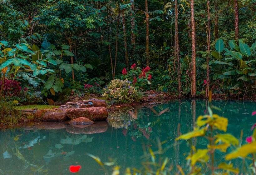 민박 Santuario De Ranas Valle Azul