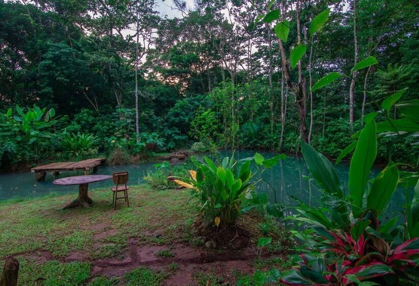 민박 Santuario De Ranas Valle Azul