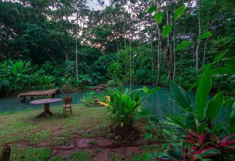 Aamiaismajoitus (B&B) Santuario De Ranas Valle Azul