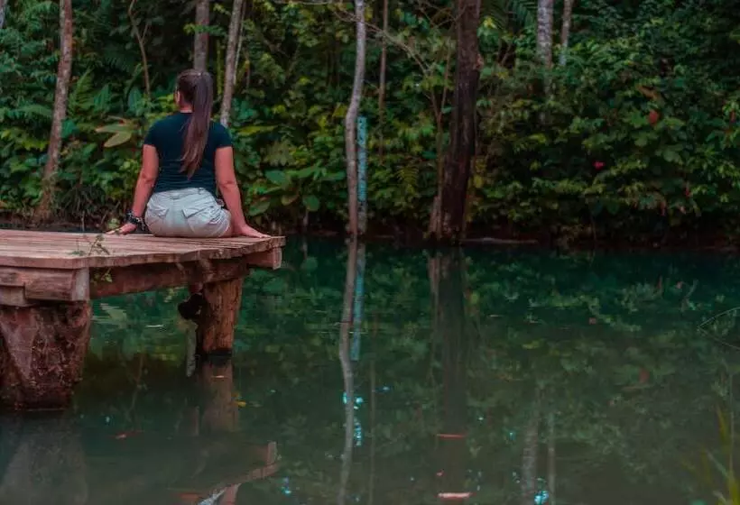 Aamiaismajoitus (B&B) Santuario De Ranas Valle Azul