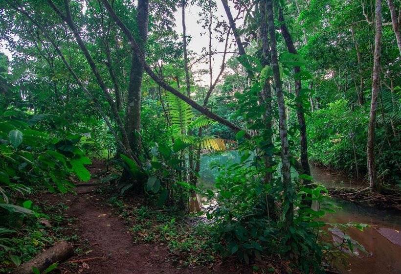 민박 Santuario De Ranas Valle Azul
