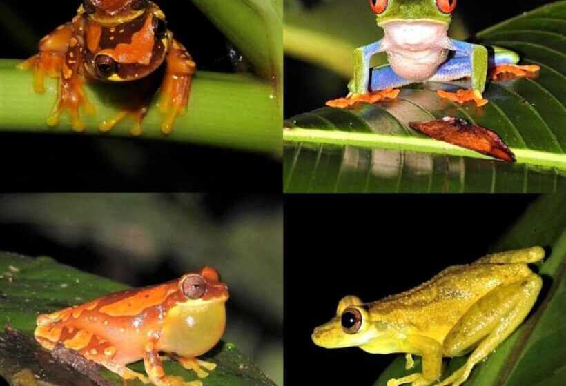 민박 Santuario De Ranas Valle Azul