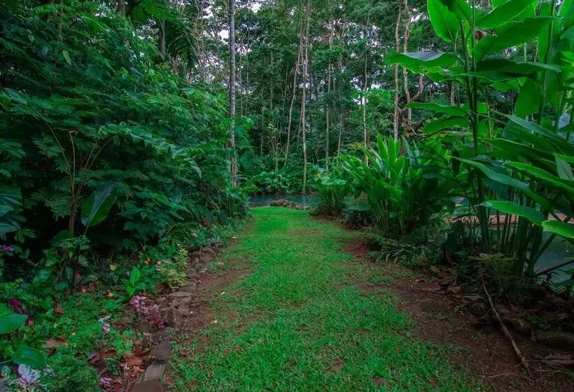 Aamiaismajoitus (B&B) Santuario De Ranas Valle Azul