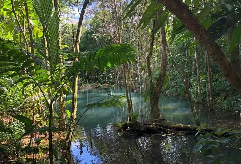 Aamiaismajoitus (B&B) Santuario De Ranas Valle Azul
