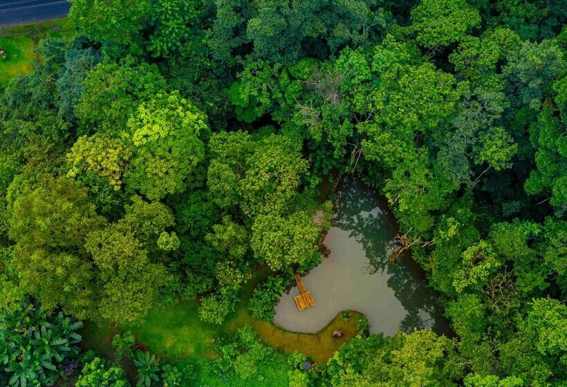 민박 Santuario De Ranas Valle Azul