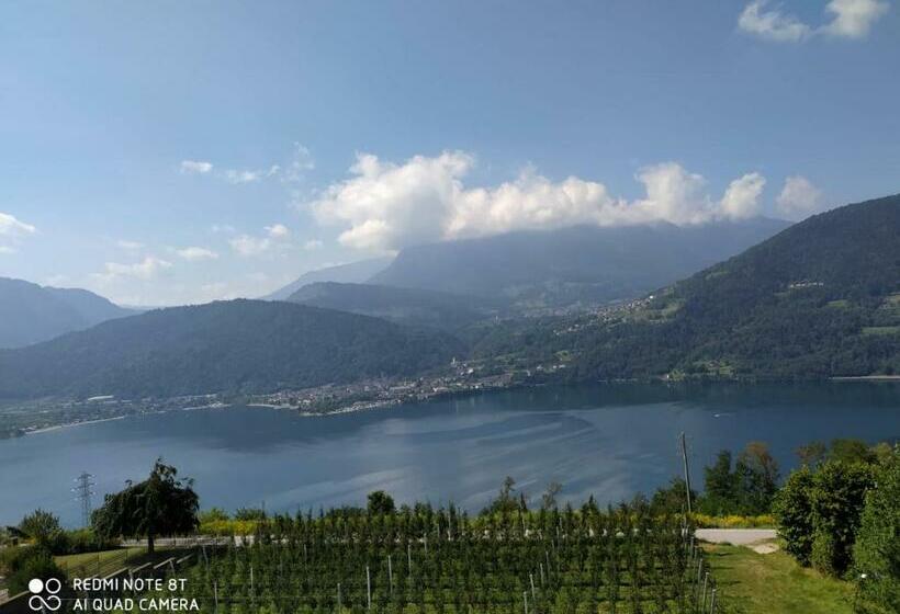 酒店 Agritur Sedici Bed And Breakfast